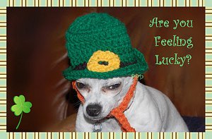 St. Patrick's Day Crochet Projects-leprechaun-dog-hat-1-jpg