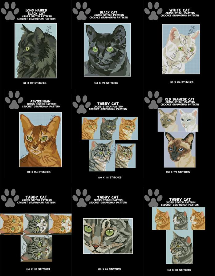 Tabby cat, Black Cat, White Cat, Siamese Cat, Abyssinian Cat-unitled-16s-jpg