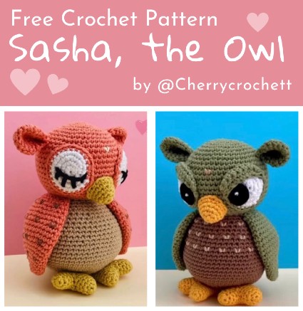 Sasha the Owl-w1-jpg