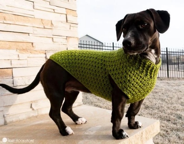 Crochet Dog Sweater Patterns-w5-jpg