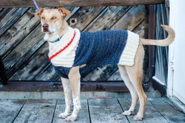 Crochet Dog Sweater Patterns-w7-jpg