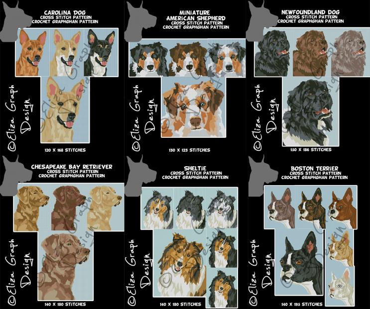 Boston Terrier, Carolina Dog, Chesapeake Retriever, American Shepherds, Sheltie-unitled-27s-jpg
