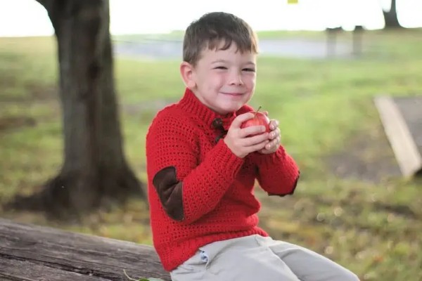Orchard Sweater for Boys, size 4 to 10-w2-jpg