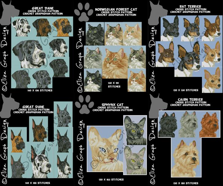 Sphynx Cat, Norwegian Forest Cat, Great Dane, Rat Terrier, Cairn Terrier-unitled-29s-jpg