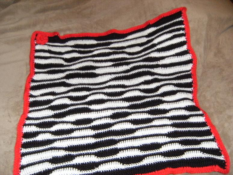Zebra Baby Blanket I made!!!-2013-06-21-05-57-47-jpg