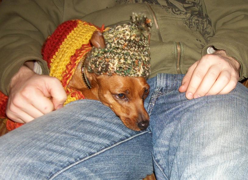 Dog sweater and hat-100_1634-jpg