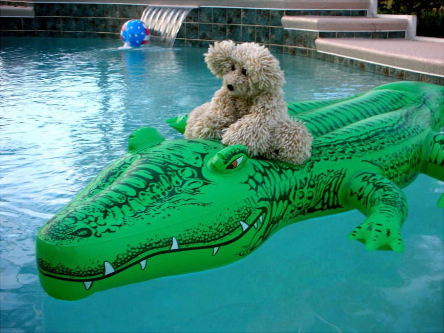 Photos of My Crocheted Bear, Scruffy-188-scruffy-brave-rode-alligator-lindas-pool-jpg