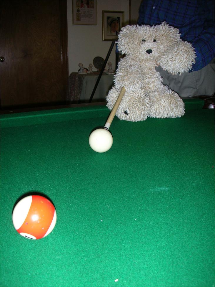 Photos of My Crocheted Bear, Scruffy-112-scruffy-playing-pool-helows-jpg