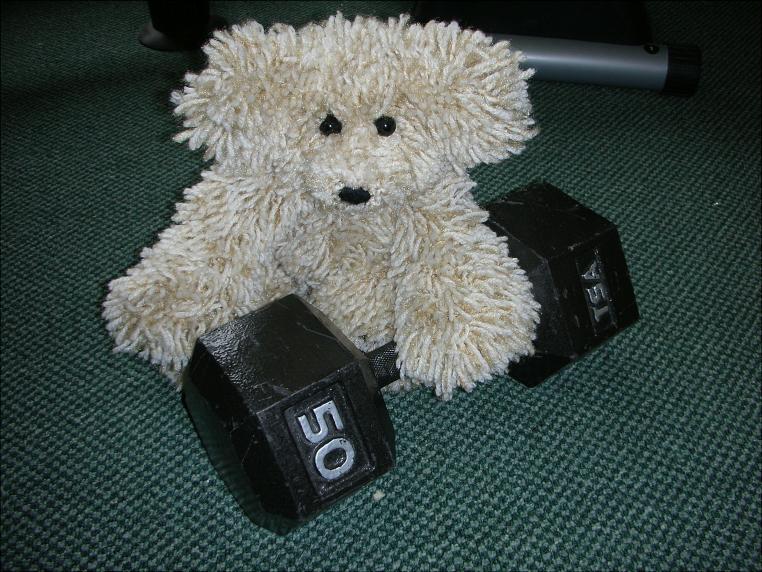 Photos of My Crocheted Bear, Scruffy-109-scruffy-lifting-weights-helows-jpg