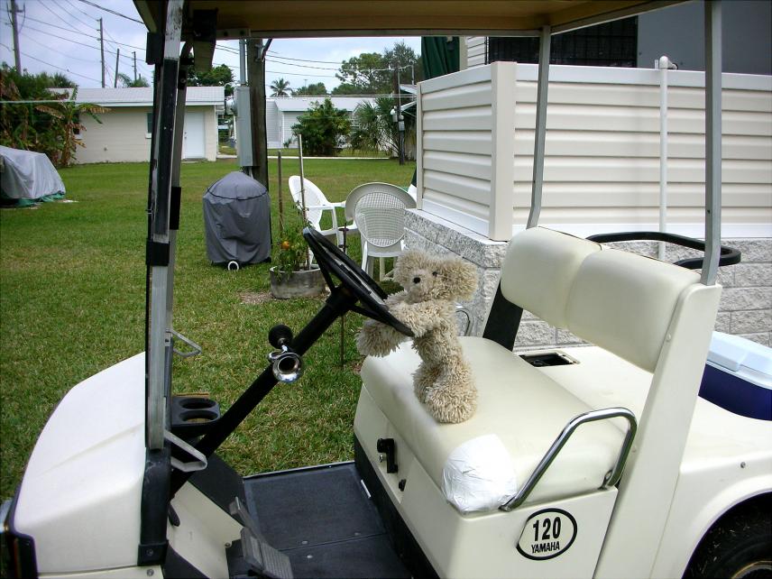 More Adventures of Scruffy the Bear-207-scruffy-drove-sandra-jims-golf-cart-2-8-08-jpg