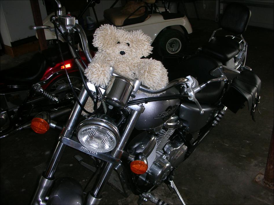 More Adventures of Scruffy the Bear-217-scruffy-dons-motorcycle-2-8-08-jpg