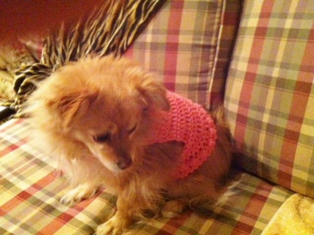 Crochet Small Dog Sweater-3-jpg