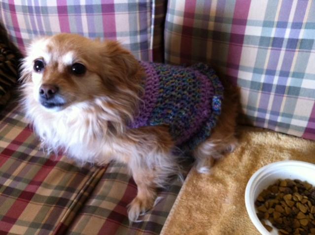 Crochet Small Dog Sweater-4-jpg