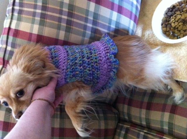 Crochet Small Dog Sweater-5-jpg