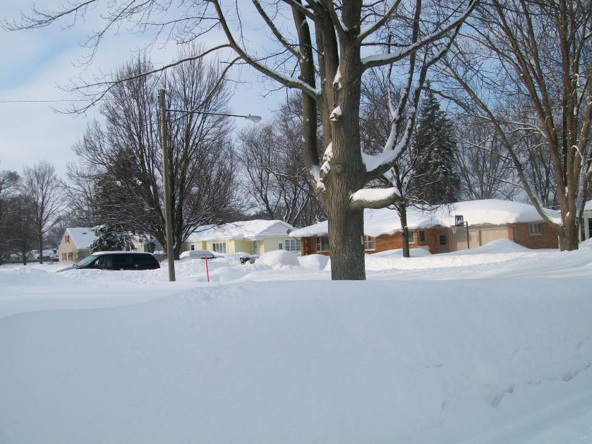 How many of you are from Michigan?-pictures-snow-feb-2014-003-jpg