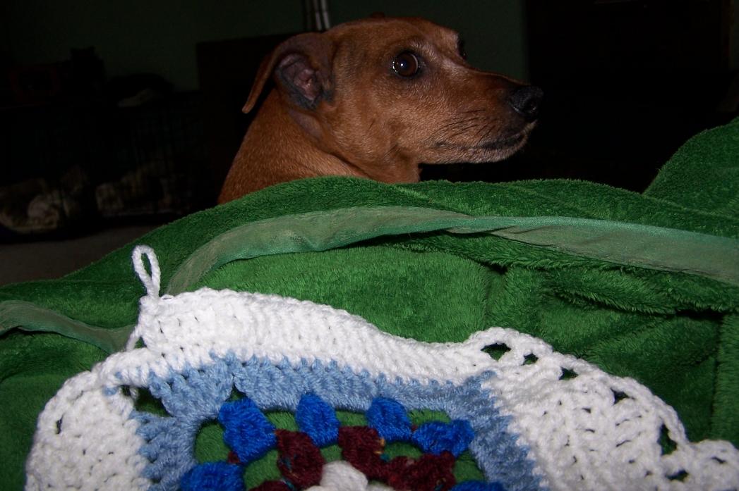 Crochet-Along Fun-helper-jpg