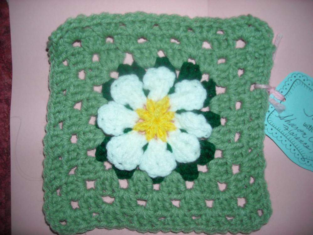 Official April Granny Square Exchange Pictures-002-jpg